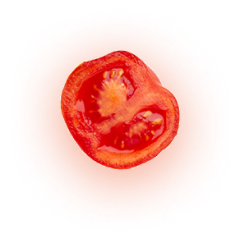 Tomato